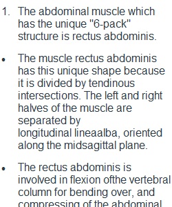 Axial Muscle II Assignment
